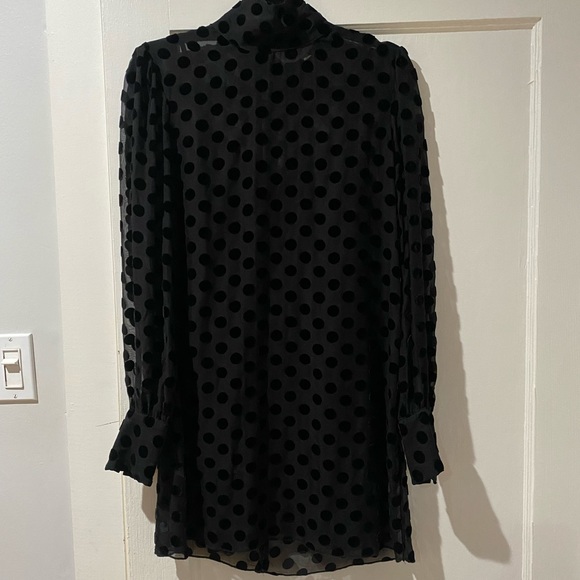 Stone Cold Fox Sheer Velvet Polka Dot Dress - Picture 8 of 16